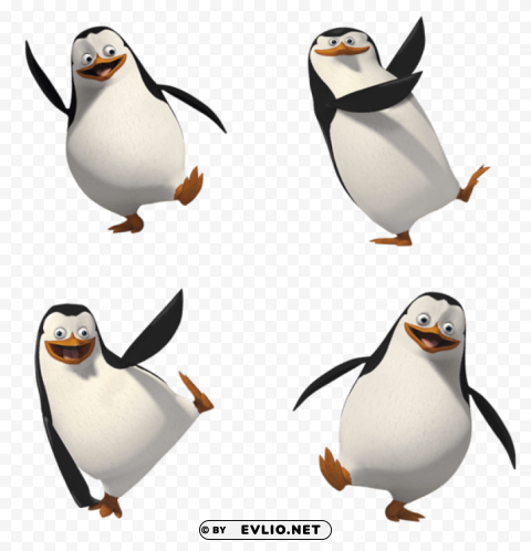penguins of madagascar PNG pictures with no background required