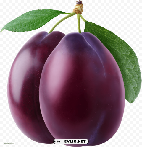 plum High-resolution PNG images with transparency