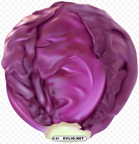 red cabbage PNG Isolated Object with Clarity