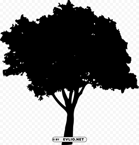 tree silhouette Isolated Subject with Clear PNG Background