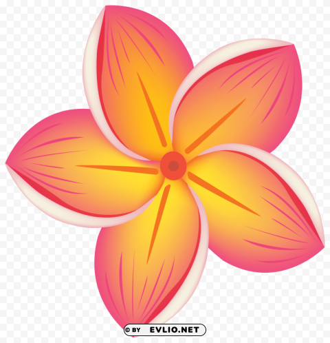tropical flower PNG transparent images for websites