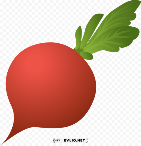beet PNG Image Isolated on Transparent Backdrop