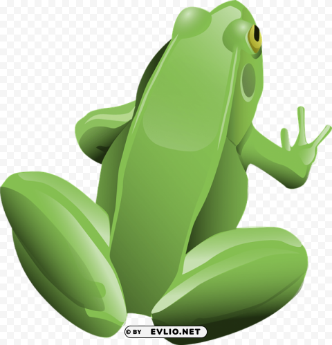 frog Isolated Graphic with Transparent Background PNG