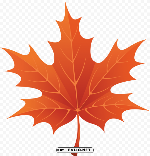 red autumn leaf clipart Clear background PNGs