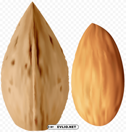 almond PNG for personal use