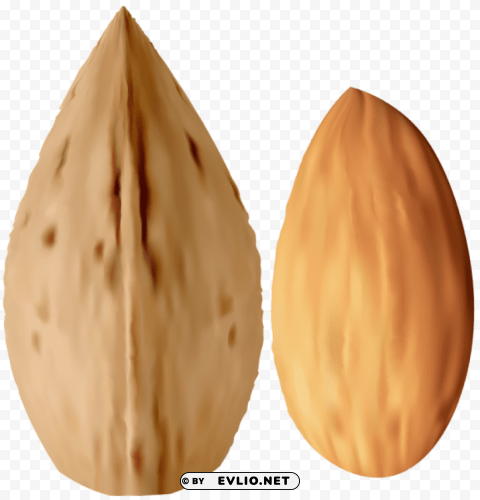 almond PNG for personal use clipart png photo - b2b0d57c