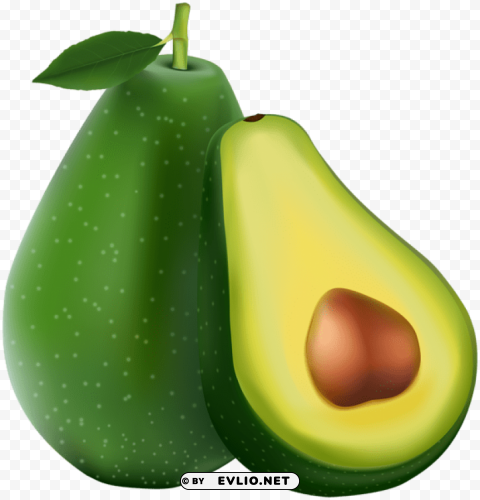 avocado Transparent PNG Graphic with Isolated Object
