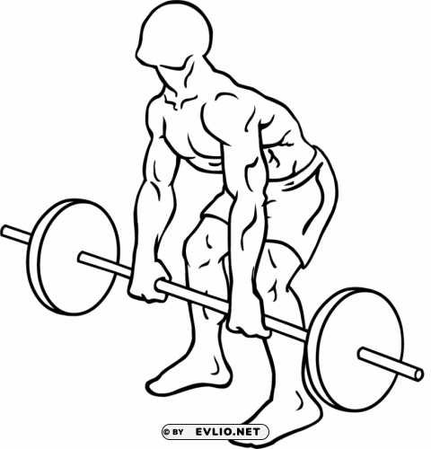 bent barbell Free transparent PNG clipart png photo - 41d5f72d