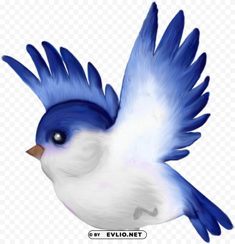 Bird Cartoon PNG Images With High Transparency