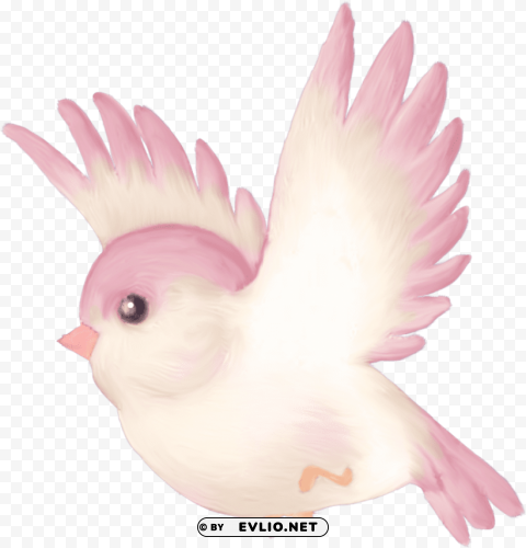 cute pink bird cartoon PNG images with clear cutout