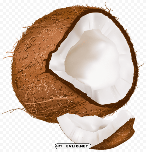 open coconut Clear Background PNG with Isolation
