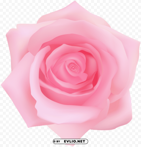 PNG image of pink rose transparent Free download PNG with alpha channel with a clear background - Image ID f3807f64