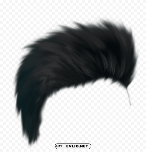 sr editing zone hair Clear PNG pictures compilation