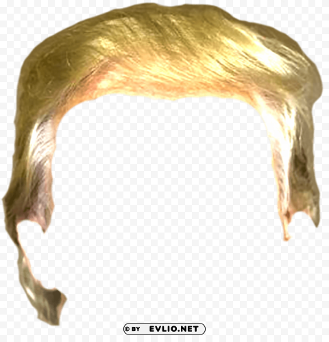 trump wig PNG artwork with transparency