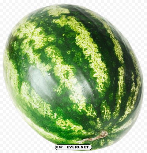 Watermelon PNG free transparent