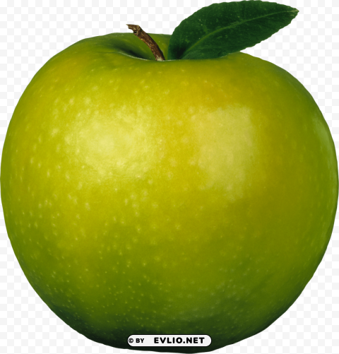 Green Apples PNG Files With Transparent Canvas Collection
