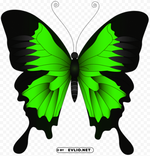 green butterfly Isolated Design Element in Transparent PNG clipart png photo - d2ca7267