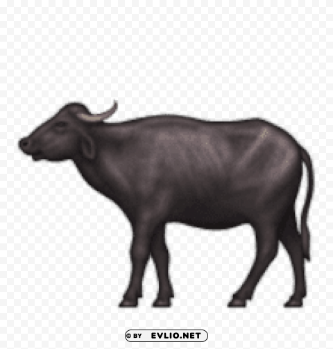 ios emoji water buffalo Clear background PNG images bulk