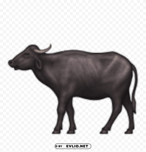 ios emoji water buffalo Clear background PNG images bulk clipart png photo - 4f274ea5