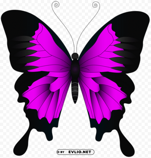 Pink Butterfly Isolated Element In Clear Transparent PNG