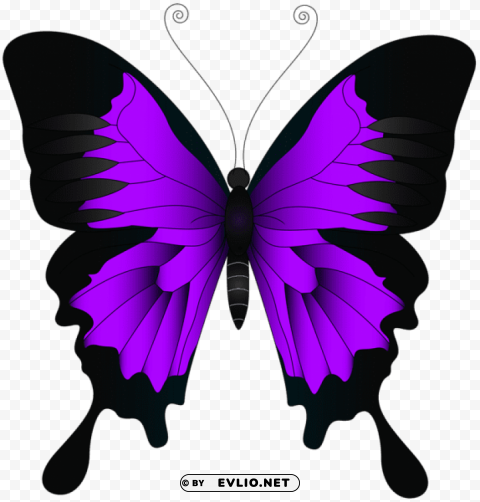purple butterfly Isolated Element in HighQuality PNG clipart png photo - 0b63ad46