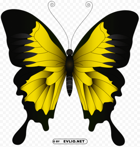 Yellow Butterfly Isolated Design Element In HighQuality Transparent PNG