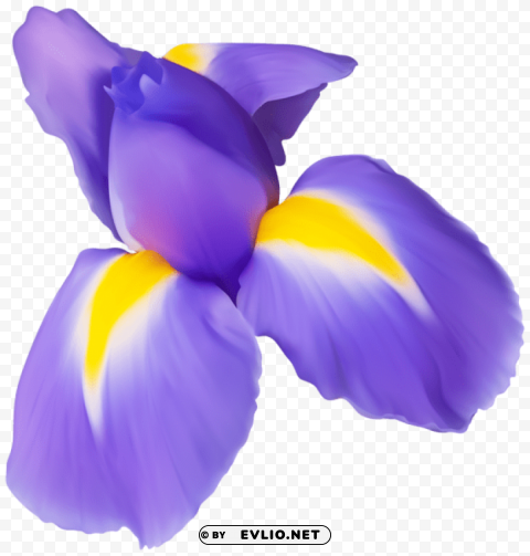 PNG image of purple iris flower PNG transparent graphics bundle with a clear background - Image ID e5d786c6