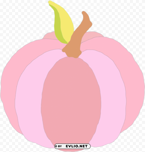  pink pumpkin HighResolution PNG Isolated on Transparent Background