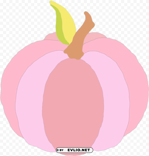  pink pumpkin HighResolution PNG Isolated on Transparent Background PNG transparent with Clear Background ID 2f38652f