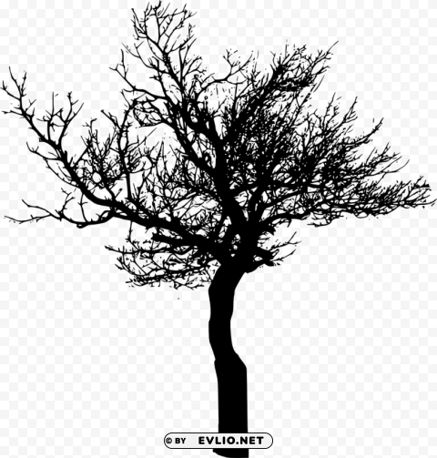 tree silhouette PNG Graphic with Transparent Background Isolation