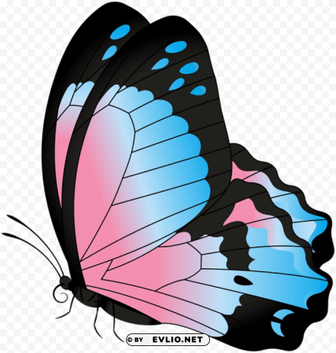 Butterfly Blue Pink Transparent Clear Background PNG Isolated Design Element