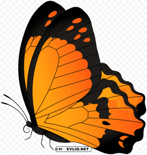 Butterfly Orange Transparent Clear Background PNG Isolated Item