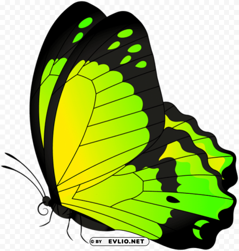 butterfly yellow green transparent Clear PNG file clipart png photo - b9d898d9