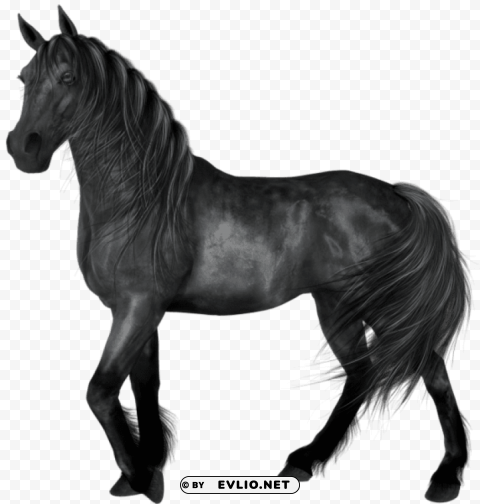 transparent black horse PNG for design