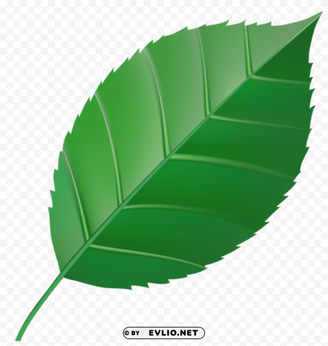 green leaf Transparent PNG images bulk package