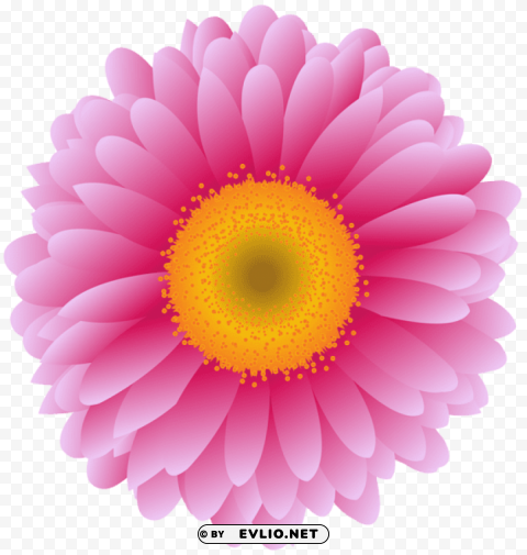 PNG image of pink gerber flower PNG for digital art with a clear background - Image ID 854f5c26