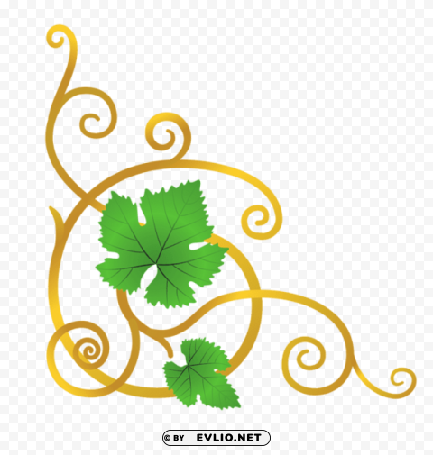  vine elementpicture Isolated Object with Transparent Background PNG