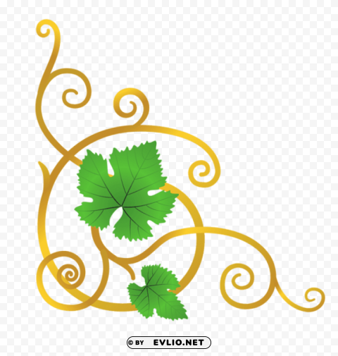  vine elementpicture Isolated Object with Transparent Background PNG clipart png photo - 6ccfdaa2