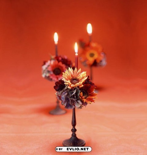 candle and flowers Isolated Subject with Clear PNG Background
