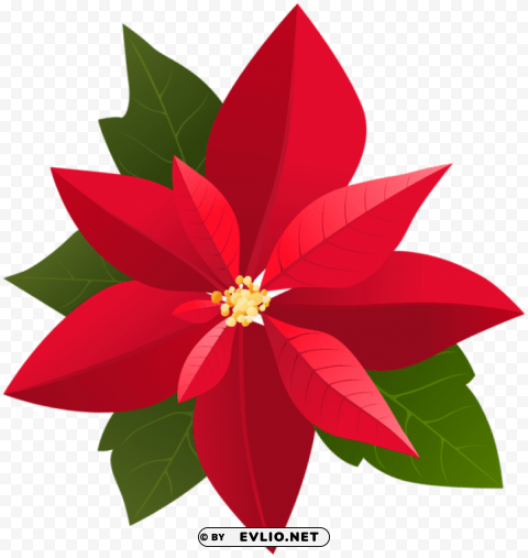 christmas poinsettia Transparent Background Isolated PNG Icon