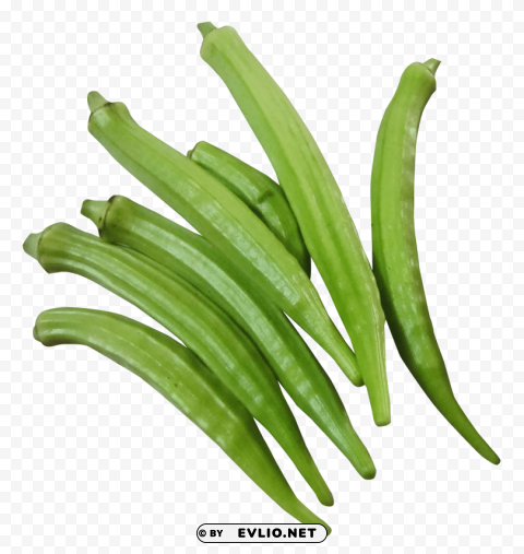 fresh okra PNG Graphic Isolated on Clear Backdrop
