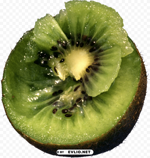 kiwi PNG images without BG