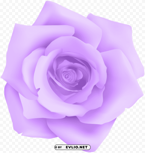 PNG image of purple rose Free PNG images with transparent background with a clear background - Image ID dff16f62