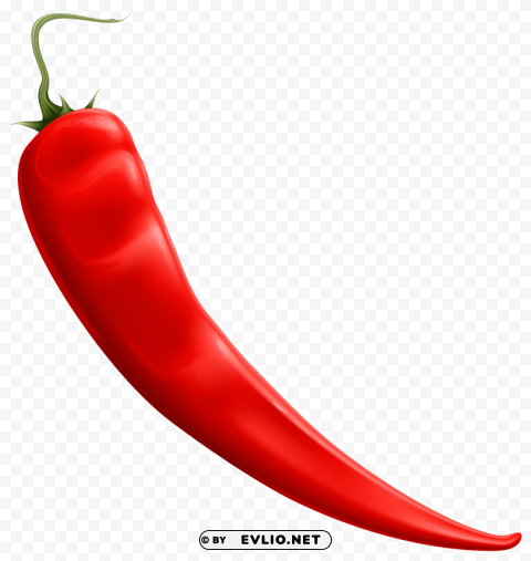 red chili pepper PNG clear images