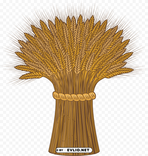 Wheat PNG Image Isolated on Transparent Backdrop