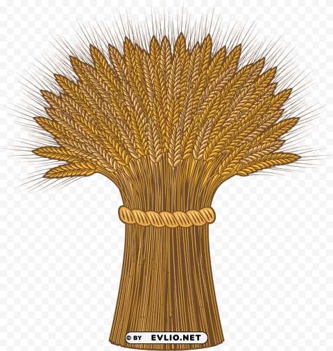 Wheat Isolated Subject In Transparent PNG