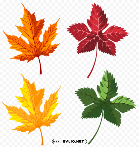 autumn leaves set PNG images for websites