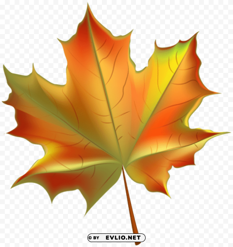 beautiful autumn leaf transparent PNG images for editing