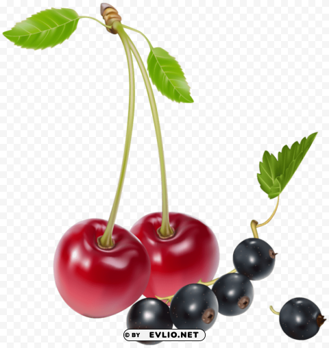 Cherries And Blueberries PNG With Alpha Channel