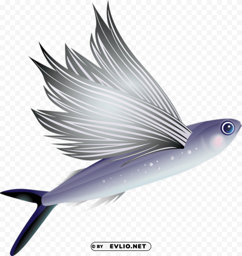 fish Isolated Subject in HighResolution PNG